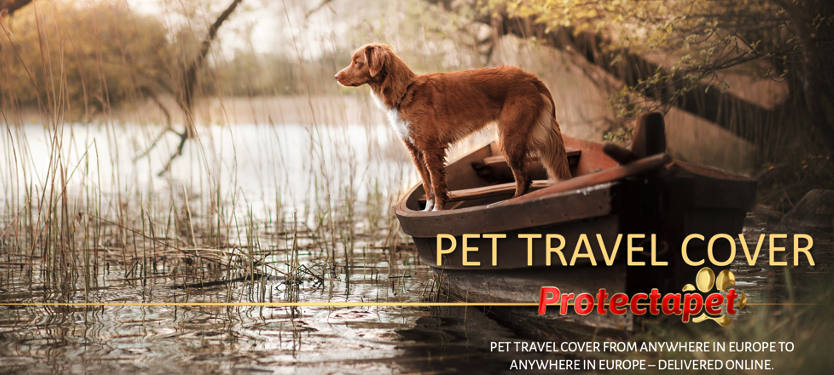 Protectapet European Travel Cover